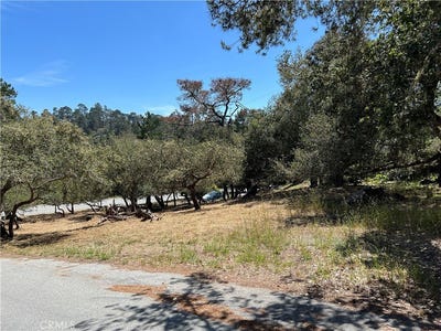 /international/us/0-pierce-avenue-cambria-ca-110107993157/
