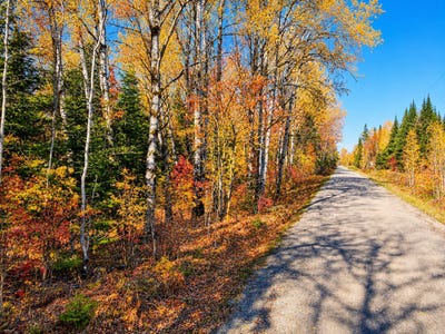 /international/us/parcel-b-township-road-d-wawina-mn-110108223695/