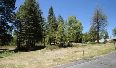 /international/us/42782-garnet-lane-shaver-lake-ca-110105267128/