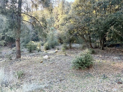 /international/us/15718-plum-way-pine-mountain-club-ca-110096944846/