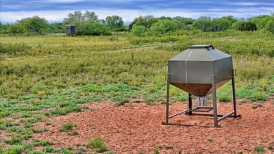 /international/us/cr-4371-goree-tx-110109158580/