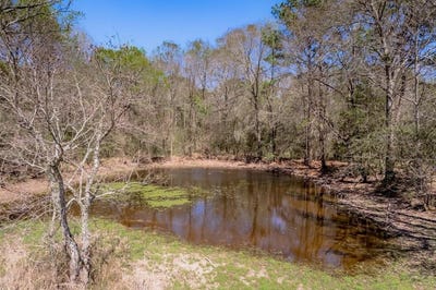 /international/us/a00008-kickapoo-road-groveton-tx-110108128993/