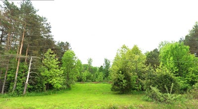 /international/us/7181-w-mount-morris-road-flushing-mi-110104414185/