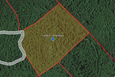 /international/us/274-eagle-s-nest-ridge-bragg-wv-110102319902/