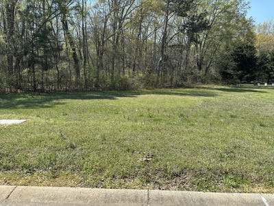 /international/us/orchard-cr-edgefield-sc-110106555621/