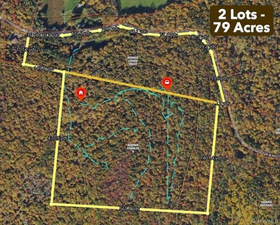 /international/us/632-new-turnpike-road-cochecton-ny-110099662774/