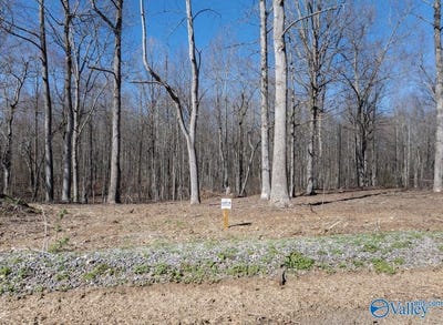 /international/us/lot-8-county-road-825-scottsboro-al-110097666072/?lang=zh-cn