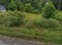 /international/us/201-astoria-road-beckley-wv-110120607371/