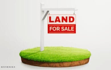 /international/us/brooklyn-avenue-lot-19-spotswood-nj-110102795334/