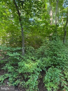 /international/us/0-lot-413-easy-hollow-rd-lot-413-front-royal-va-110108983398/