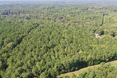 /international/us/neely-ferry-road-tract-b-waterloo-sc-110119957766/