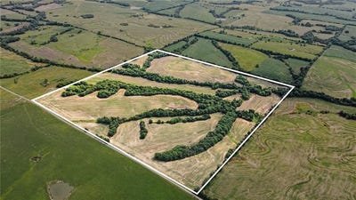 /international/us/cowsert-road-braymer-mo-110109035967/