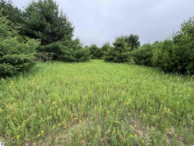 /international/us/lot-7-e-bellinger-road-cedar-mi-110099690671/?lang=zh-tw