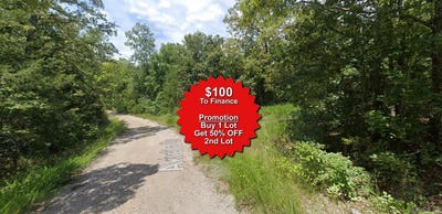 /international/us/lot-11-nuvamsa-trail-cherokee-village-ar-110101090220/?lang=en