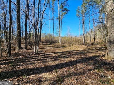 /international/us/butler-road-franklin-ga-110119959087/