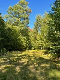 /international/us/beech-ridge-road-jay-me-110110341916/