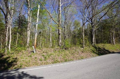/international/us/4167-hwy-49-lot-2-tennessee-ridge-tn-110107229025/