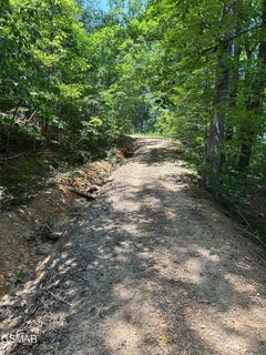 /international/us/0-henderson-springs-road-pigeon-forge-tn-110101067646/?lang=es