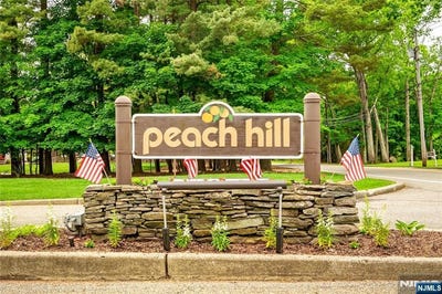 /international/us/23-peach-hill-court-ramsey-nj-110108383587/