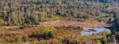 /international/us/452-c-caney-valley-drive-plummerville-ar-110107337161/