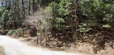 /international/us/0-community-drive-lake-arrowhead-ca-110101537479/