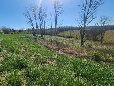 /international/us/34-67-acres-highway-22-e-owenton-ky-110100797415/