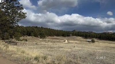 /international/us/266-good-hope-dr-westcliffe-co-110101217693/?lang=zh-cn