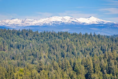/international/us/6420-starkes-grade-road-pollock-pines-ca-110108030266/