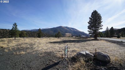/international/us/217-elkview-dr-canyoncity-or-110092705911/