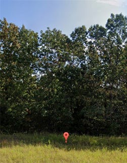 /international/us/010-00329-000-lot-134-briarcliff-ar-110105358046/