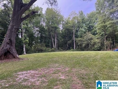 /international/us/877-bedwell-street-lot-0-heflin-al-110108573625/