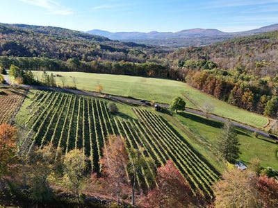 /international/us/00wp-travis-hill-rd-preston-hollow-ny-110104820357/
