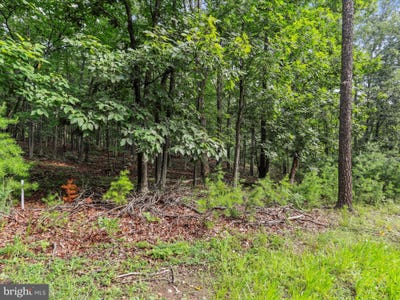 /international/us/lot-28-island-ridge-road-purgitsville-wv-110100862004/