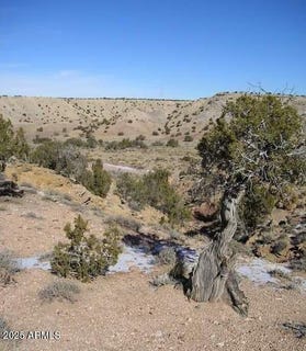 /international/us/150-county-rd-n-6100-st-johns-az-110104409776/