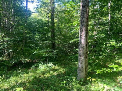 /international/us/carleton-pond-road-lot-6-and-7-camden-ny-110109477489/
