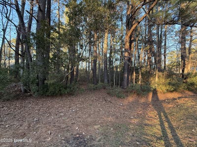 /international/us/107-starboard-drive-lot-160-new-bern-nc-110104433091/