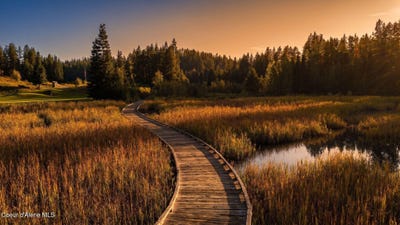 /international/us/nna-wildflower-way-blk-1-lot-1-sandpoint-id-110110268607/