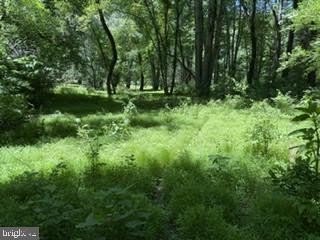 /international/us/204-canterbury-court-nottingham-pa-110105077273/
