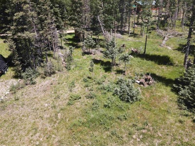 /international/us/lot-109-mountain-view-rd-red-river-nm-110100718465/
