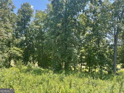 /international/us/lot-11-oak-hawkinsville-ga-110100271060/