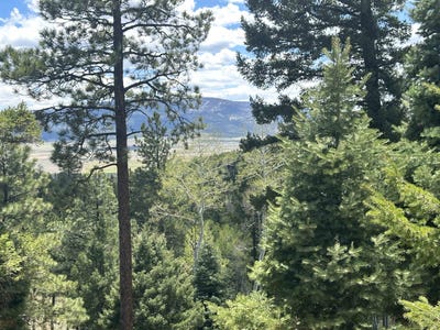 /international/us/lot-91ab-pam-coleman-drive-angel-fire-nm-110092094694/