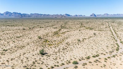 /international/us/76-tonopah-tx-110120460474/