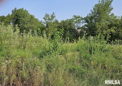 /international/us/brittany-court-lot-100-metamora-il-110087090006/