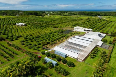 /international/us/17-4150-huina-rd-kurtistown-hi-110100918507/