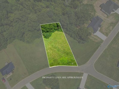 /international/us/lot-70-paraiso-creek-drive-albertville-al-110101097868/?lang=zh-tw