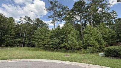 /international/us/542-golden-rod-court-columbia-sc-110101063005/?lang=zh-tw