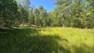 /international/us/third-run-road-glenvile-wv-110110171056/