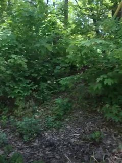 /international/us/190-brook-trail-greenwood-lake-new-york-10990-warwick-ny-110100165299/