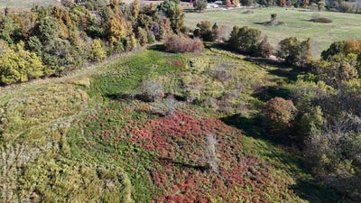 /international/us/county-road-135-norwood-mo-110108027124/