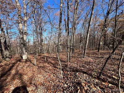 /international/us/lot-71-hiwatha-lane-rocky-mount-mo-110096877268/?lang=en